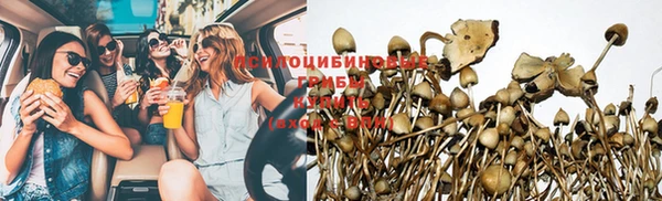 гидропоника Абаза